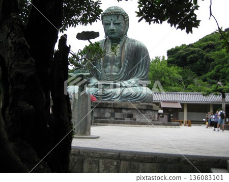 Great Buddha in the summer Great Buddha in the summer 136083101