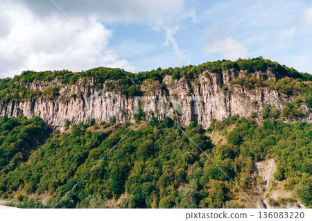 Cliffs covered in trees beside river under cloudy sky during daylight hours 136083220