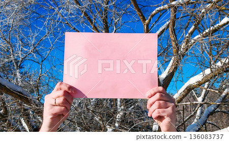 Pink Paper Held Against Frosty Winter Trees. male hands holding blank pink sheet of paper in front of icy branches and blue sky. copy space 136083737