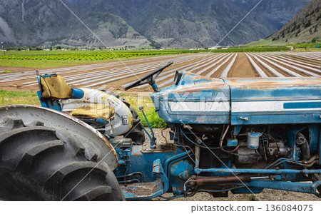 Tractor close-up. Agricultural machinery in the field. Spring, field preparation. Tractor close-up. Agricultural machinery in the field. Spring, field preparation. 136084075