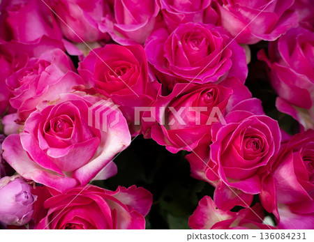 Rose roses, valentine bouquet background. Flowers. Rose roses, valentine bouquet background. Flowers. 136084231