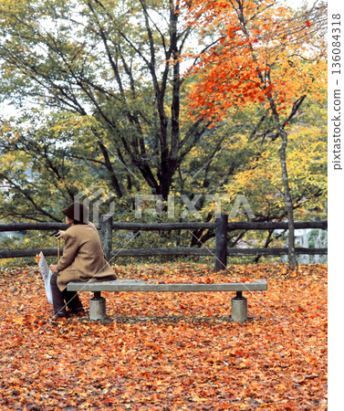 Romantic Ibaraki (On an autumn weekend, an old man was lost in thought on a bench in Sashiro Park, covered in fallen leaves.) Kasama City Romantic Ibaraki (On an autumn weekend, an old man was lost in thought on a bench in Sashiro Park, covered in fallen leaves.) Kasama City 136084318