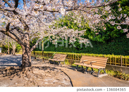 根岸之裡防災公園 根岸之裡防災公園 136084365
