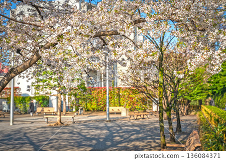 Negishi-no-Sato Disaster Prevention Park Negishi-no-Sato Disaster Prevention Park 136084371