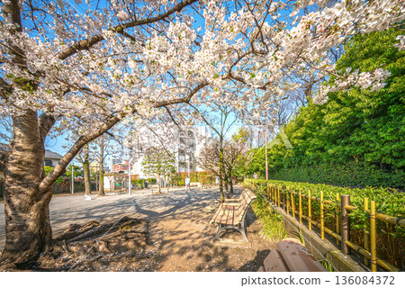 根岸之裡防災公園 136084372