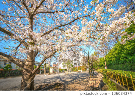Negishi-no-Sato Disaster Prevention Park Negishi-no-Sato Disaster Prevention Park 136084374