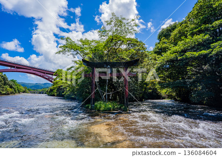 Torii gate of Hanase Shrine (Kinkocho) Torii gate of Hanase Shrine (Kinkocho) 136084604