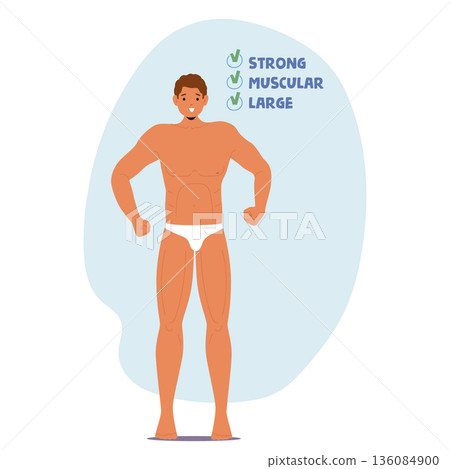 Male body strong, muscular and large according to gender role stereotypes and societal expectations Male body strong, muscular and large according to gender role stereotypes and societal expectations 136084900