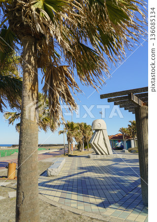 [Isumi City, Chiba Prefecture] Taito Beach 136085134
