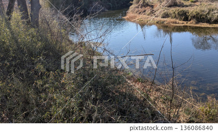 Koshiga河 136086840