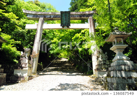 Kogu Shrine, Taga Town, Shiga Prefecture 136087549
