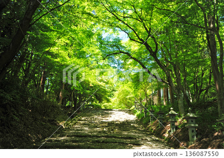 Kogu Shrine, Taga Town, Shiga Prefecture 136087550