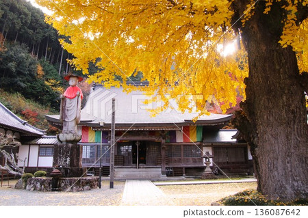 厚生寺、石佛和大銀杏樹 厚生寺、石佛和大銀杏樹 136087642