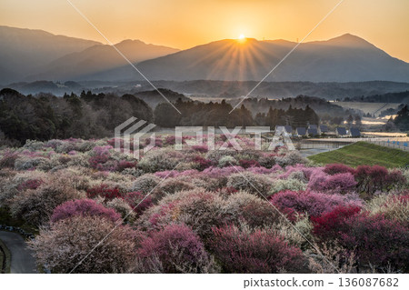 Inabe Bairin Park 136087682