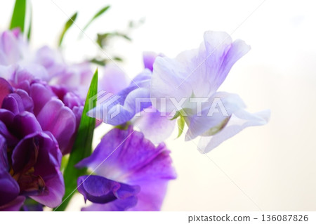 香豌豆和鬱金香花束 136087826