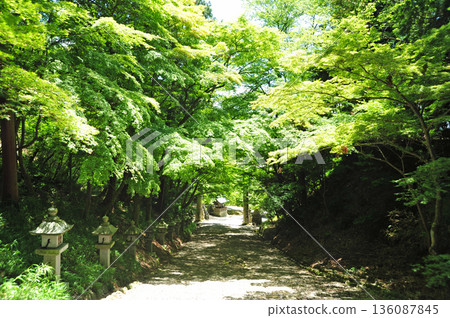 Kogu Shrine, Taga Town, Shiga Prefecture 136087845