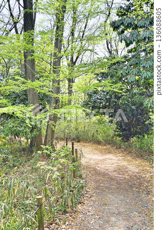 座間彌陀山公園 座間彌陀山公園 136088605