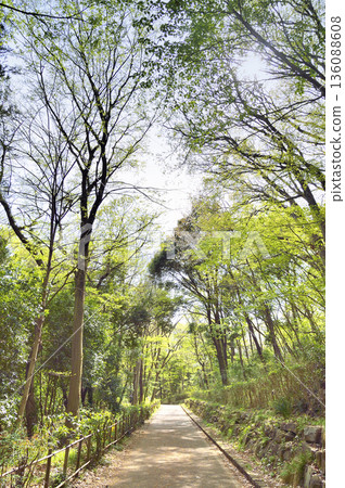 Zama Yatoyama Park Zama Yatoyama Park 136088608