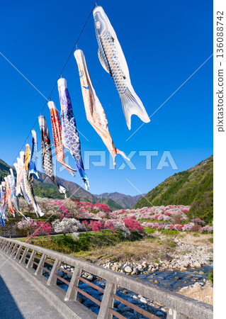 長野縣阿智村花桃之裡 136088742