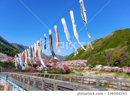 長野縣阿智村花桃之裡 136088743