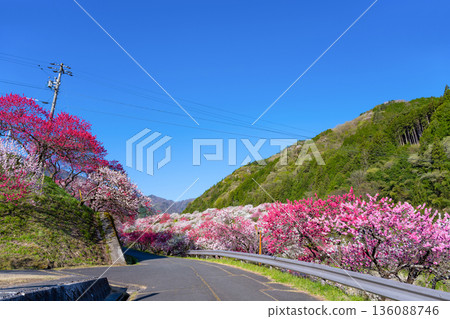 Hanamomo no Sato, Achi Village, Nagano Prefecture Hanamomo no Sato, Achi Village, Nagano Prefecture 136088746