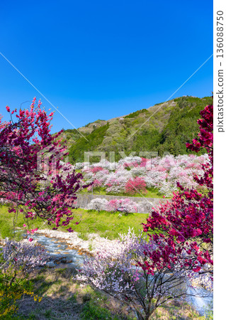 Hanamomo no Sato, Achi Village, Nagano Prefecture Hanamomo no Sato, Achi Village, Nagano Prefecture 136088750