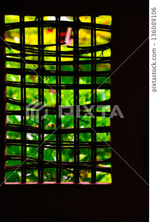 Image of a garden surrounded by greenery and a base window Image of a garden surrounded by greenery and a base window 136089106