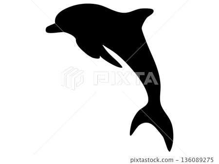 Dolphin Silhouette 136089275