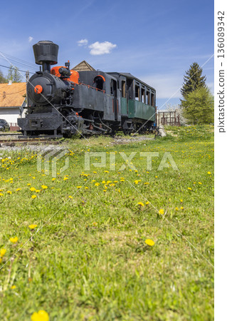 Narrow gauge train engine standing on tracks in springtime Viglas 136089342