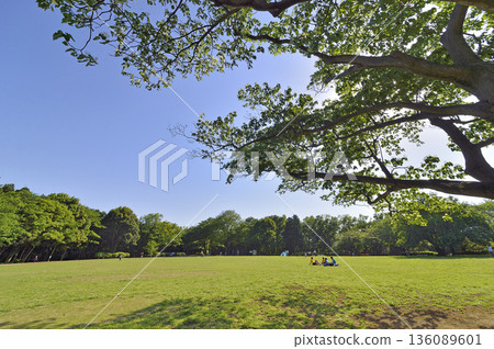 Serizawa Park 136089601