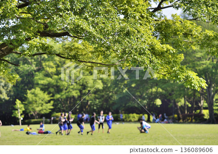 Serizawa Park 136089606