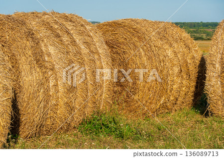 Golden hay bales sit quietly in a lush green field, basking in the warm sunlight of a serene summer afternoon Golden hay bales sit quietly in a lush green field, basking in the warm sunlight of a serene summer afternoon 136089713