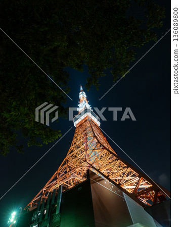 Tokyo Tower Light Up Tokyo Tower Light Up 136089800