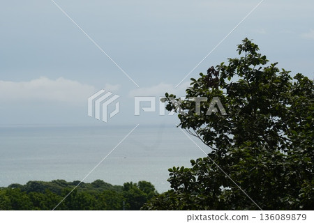 Sea seen from the hill 136089879