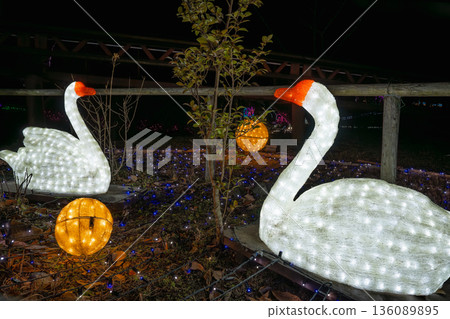 Shibata Fantasy Illumination Glowing Swans Shibata Fantasy Illumination Glowing Swans 136089895