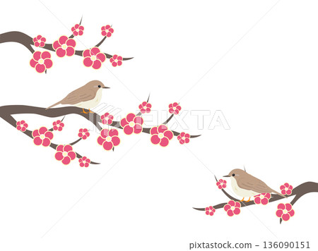 Warbler and plum blossom Warbler and plum blossom 136090151