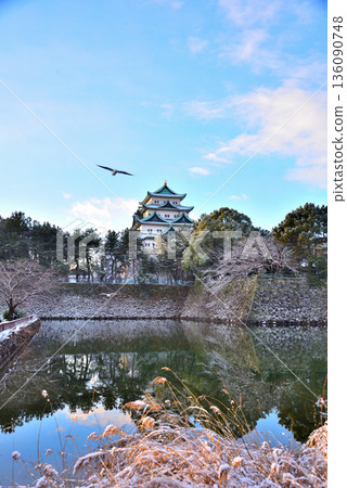 <Aichi Prefecture> Nagoya Castle covered in snow 136090748