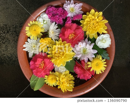 二月花池(山茶花和菊花)俯瞰圖(愛知縣岡崎市菅尾神宮) 二月花池(山茶花和菊花)俯瞰圖(愛知縣岡崎市菅尾神宮) 136090790