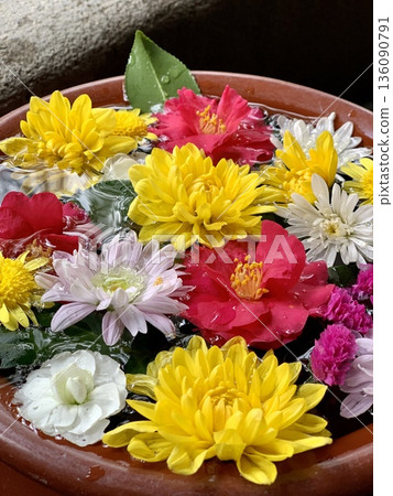 Close-up of the February flower water fountain (camellia and chrysanthemums) at Sugao Shrine in Okazaki, Aichi Prefecture Close-up of the February flower water fountain (camellia and chrysanthemums) at Sugao Shrine in Okazaki, Aichi Prefecture 136090791