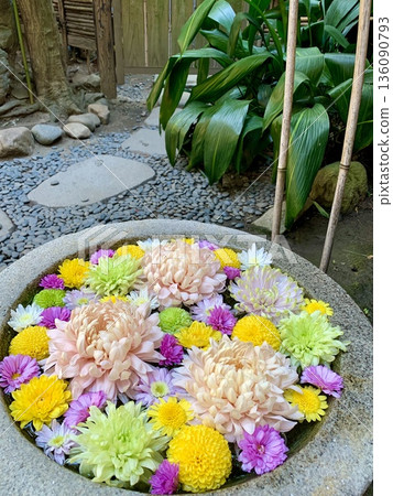 January Flower Water Purification (Chrysanthemum) (Sugao Shrine, Okazaki City, Aichi Prefecture) 136090793