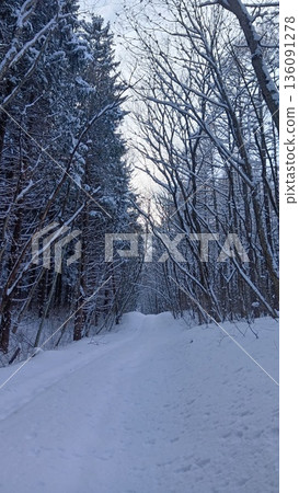 Snowy road Snowy road 136091278