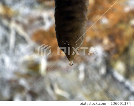 water drop falling from stalactite inside karst caves carved out by water water drop falling from stalactite inside karst caves carved out by water 136091374