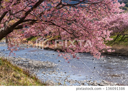 春日里山，櫻花盛開，河流蜿蜒，景色宜人，四周群山環繞，展現了日本里山村莊的迷人風光——日本里山，群山環抱，景色優美。 136091386