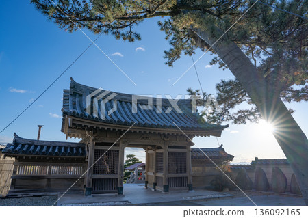 七濱町養聖院的寺門，以及透過松樹灑下的晨光。 136092165