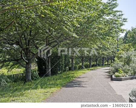 縣立相模三河公園 縣立相模三河公園 136092215