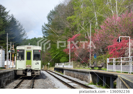 一列行駛在光海線上的普通列車從繁花似錦的大泉站出發。 136092236