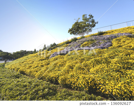 Sagamihara Gimpo Park 136092627
