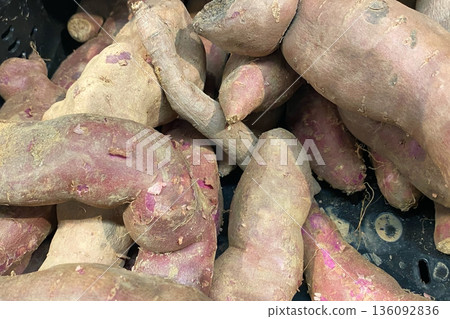 Close-up of Raw Sweet Potatoes in a Market Bin Close-up of Raw Sweet Potatoes in a Market Bin 136092836