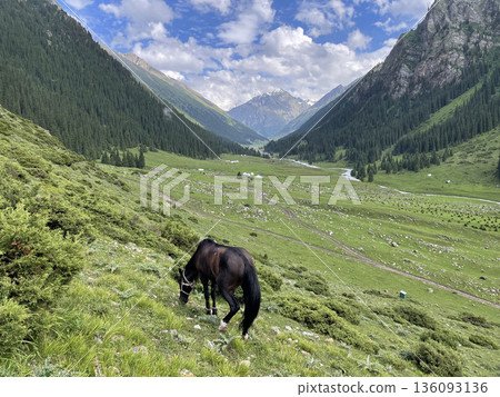 吉爾吉斯阿爾金阿拉山 吉爾吉斯阿爾金阿拉山 136093136