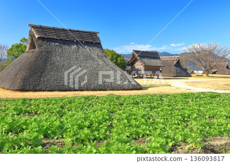 【佐賀縣】晴空下的吉野裡歷史公園（南邊的村） 136093817